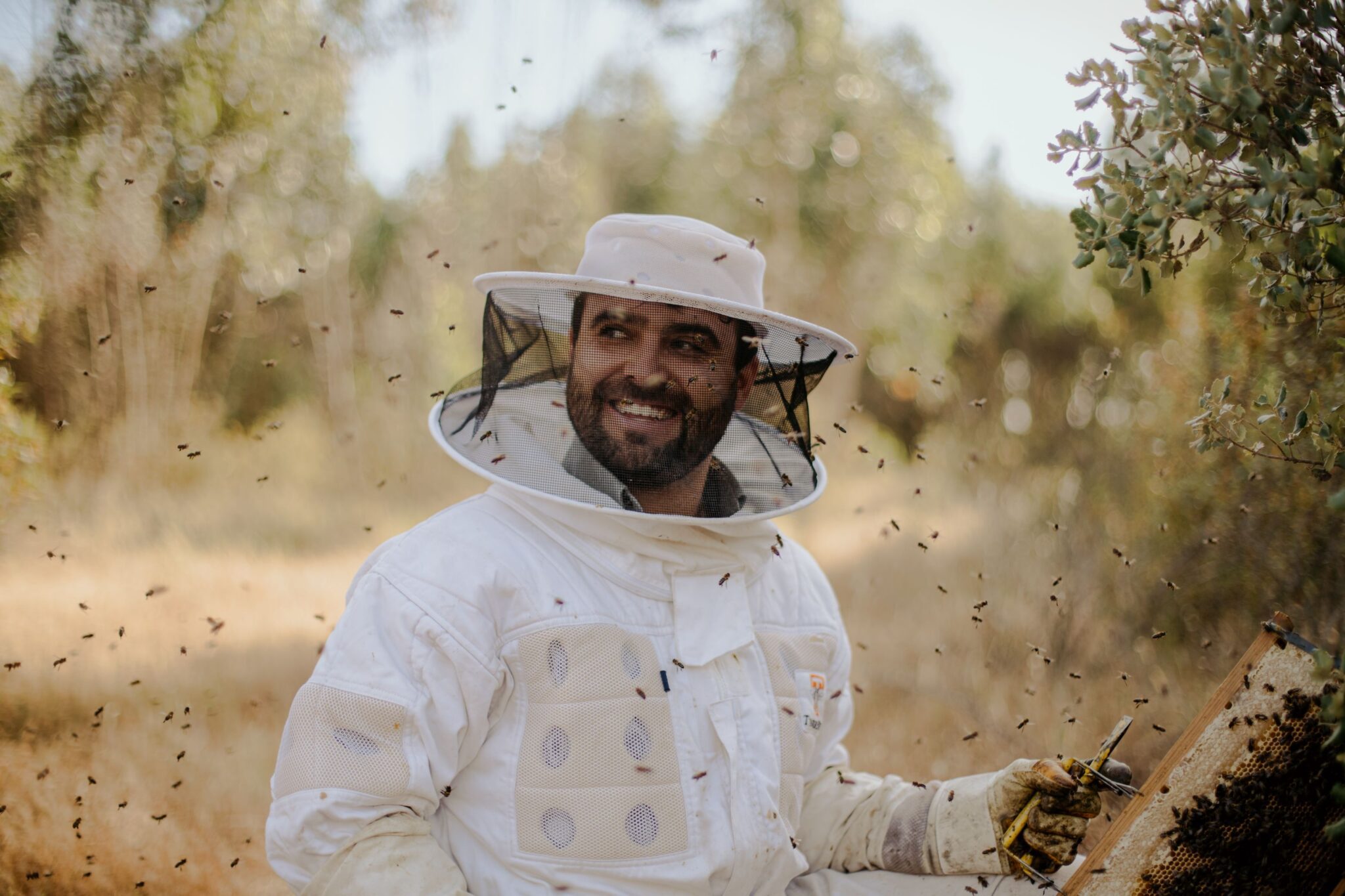 Paulo Pirata, o apicultor responsável pelo Mel Pirata, vestido com um fato e a manusear colmeias.